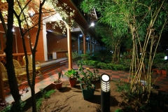 Scenic Beauty of Nilgiris - The Nest Inn Resort