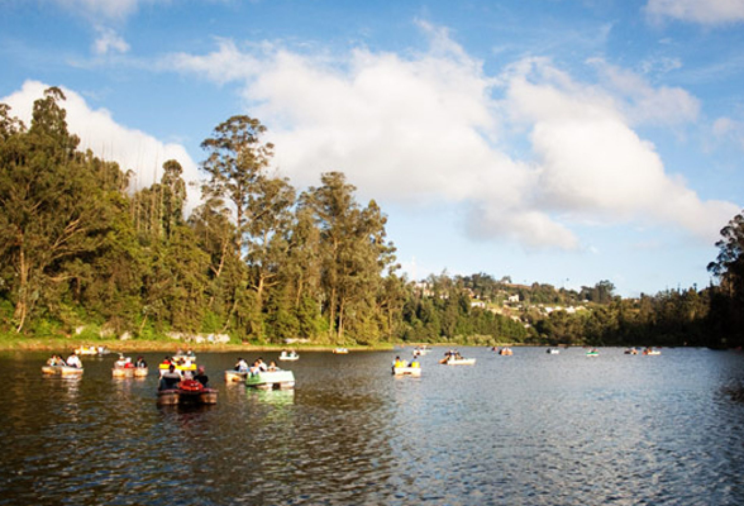 Boating and Tranquility at Ooty Lake