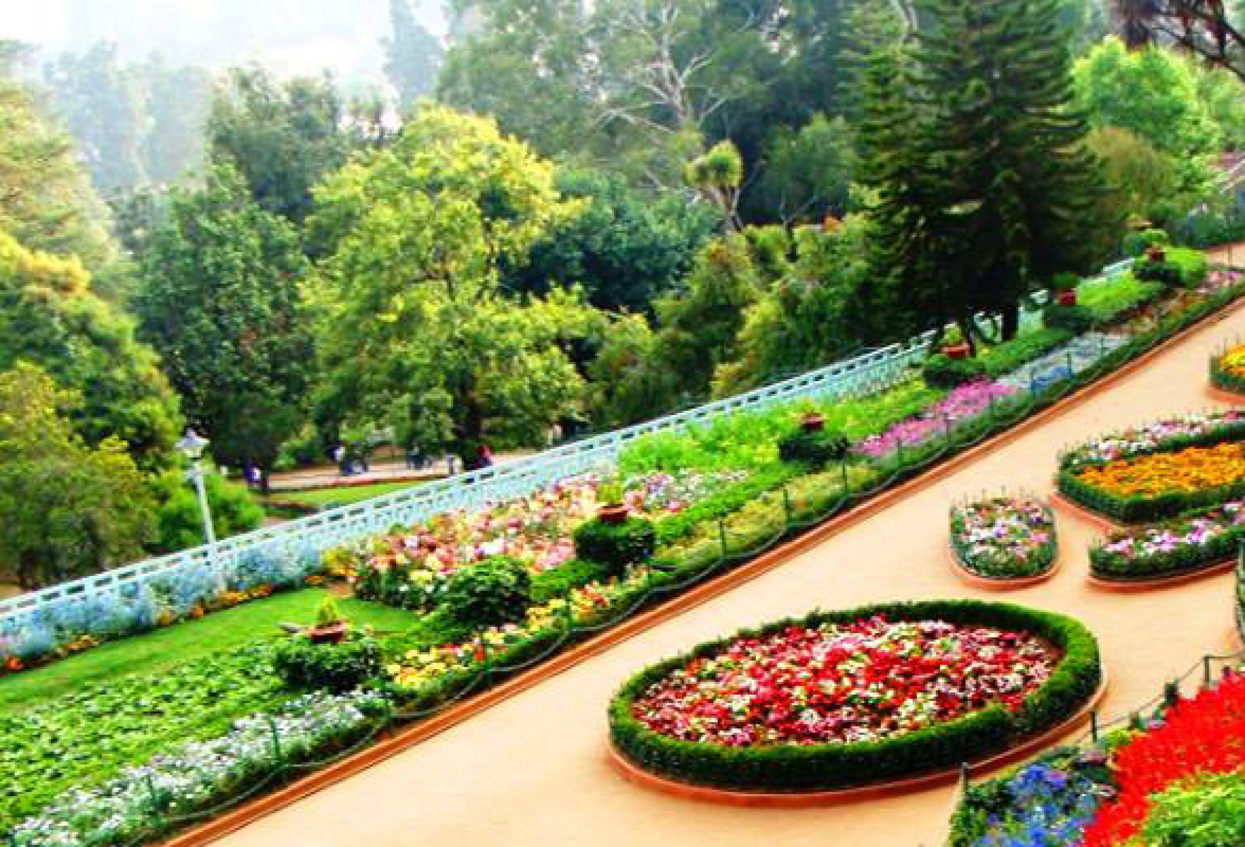 Botanical Marvels in Ooty's Garden