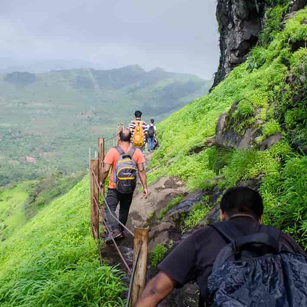 Wander into the Wild: Masinagudi's Treks Unveiled