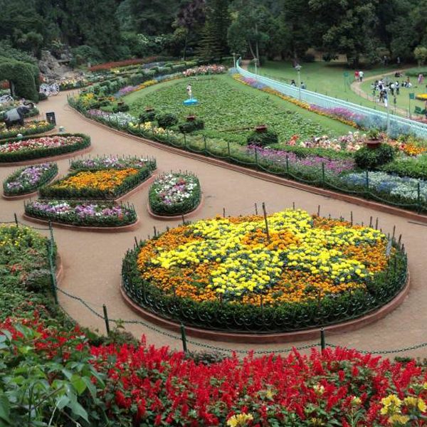 Botanical Garden near The Nest Inn Resort in Ooty, showcasing diverse plant species and educational exhibits.