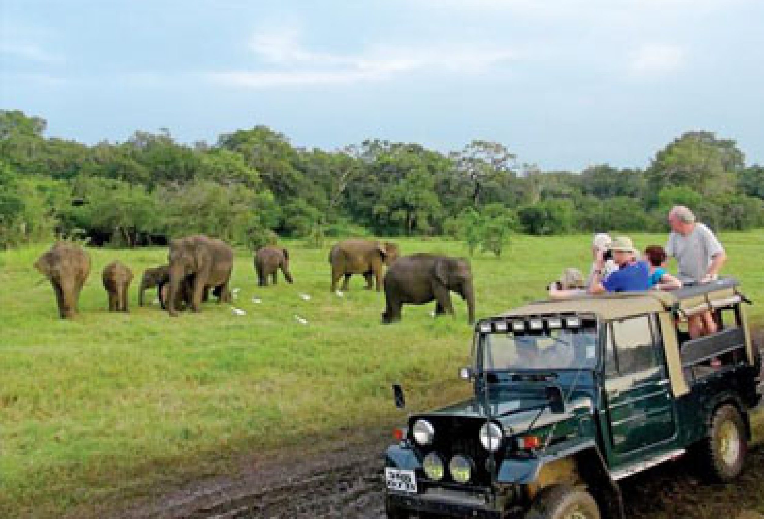 Adventure Unleashed: Jeep Safaris at The Nest Inn Resort