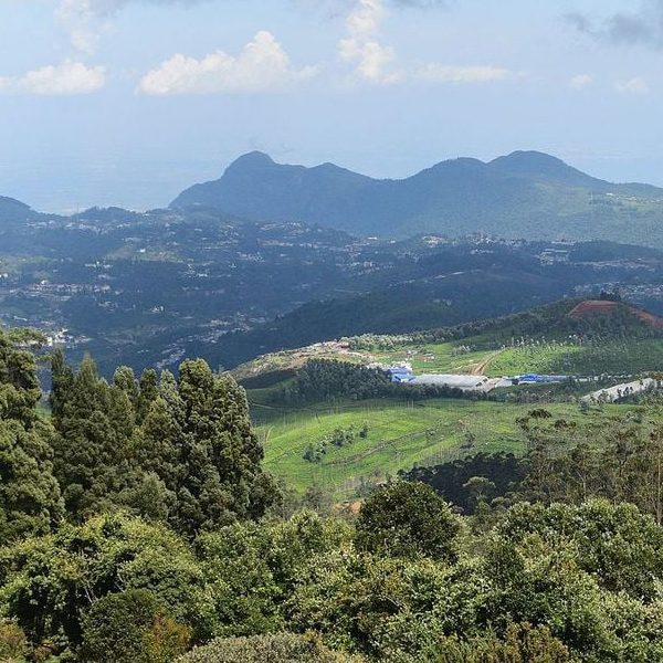 Doddabetta Peak - Majestic Mountain View in Nilgiris