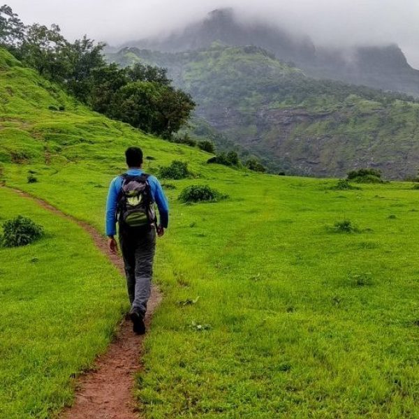 Step into Nature's Symphony: Trekking Escapades in Masinagudi