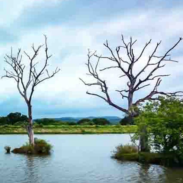 A view of Moyar River, surrounded by serene landscapes.