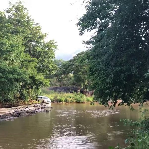 Image of Moyar River gently flowing through lush greenery.