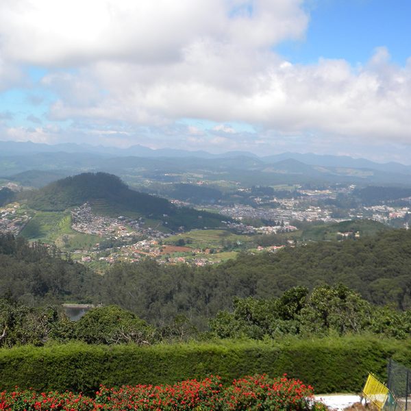 Nature's Beauty - Doddabetta Peak Awaits Your Exploration