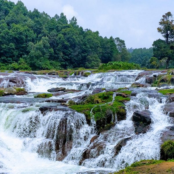 Nature's beauty captured: Pykara Waterfall near Ooty