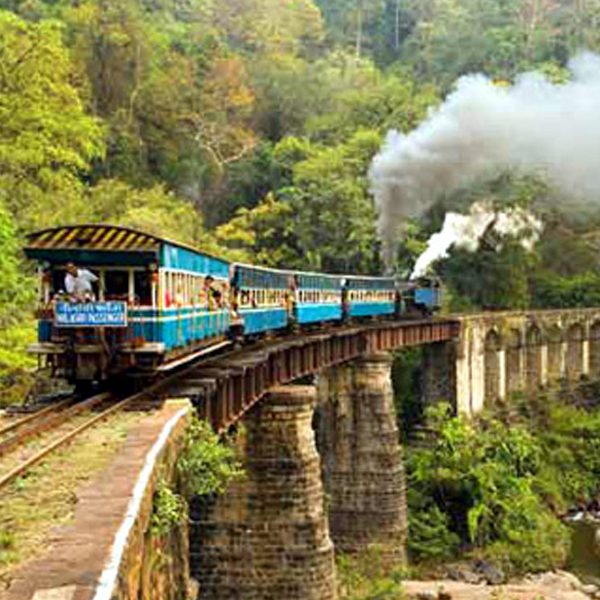 Scenic journey of Nilgiri Mountain Railway through verdant hills