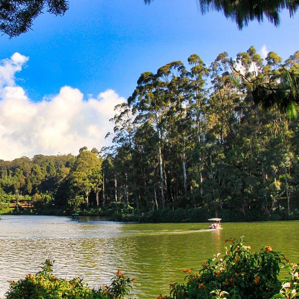 Scenic Beauty Unveiled: Ooty Lake Retreat at The Nest Inn Resort