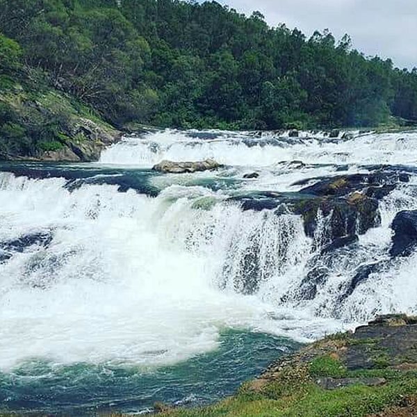 Pykara Waterfall surrounded by lush greenery near The Nest Inn Resort